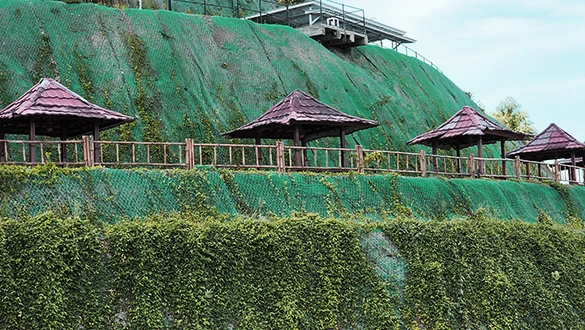 BEVA GREENMATT® Batang Asai