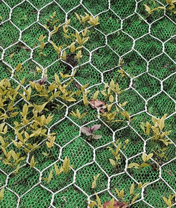 Economical Option For Green Construction