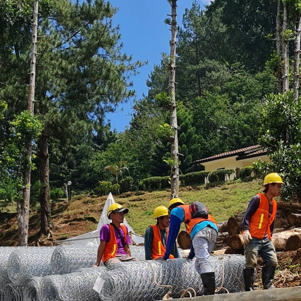 Forestry
